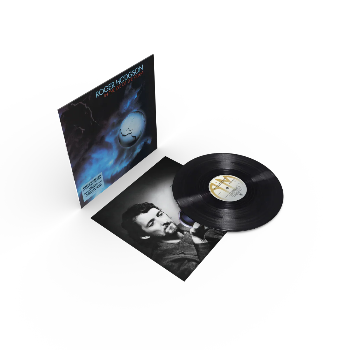 In The Eye Of The Storm (Half-Speed Master): Vinyl LP - Image 2