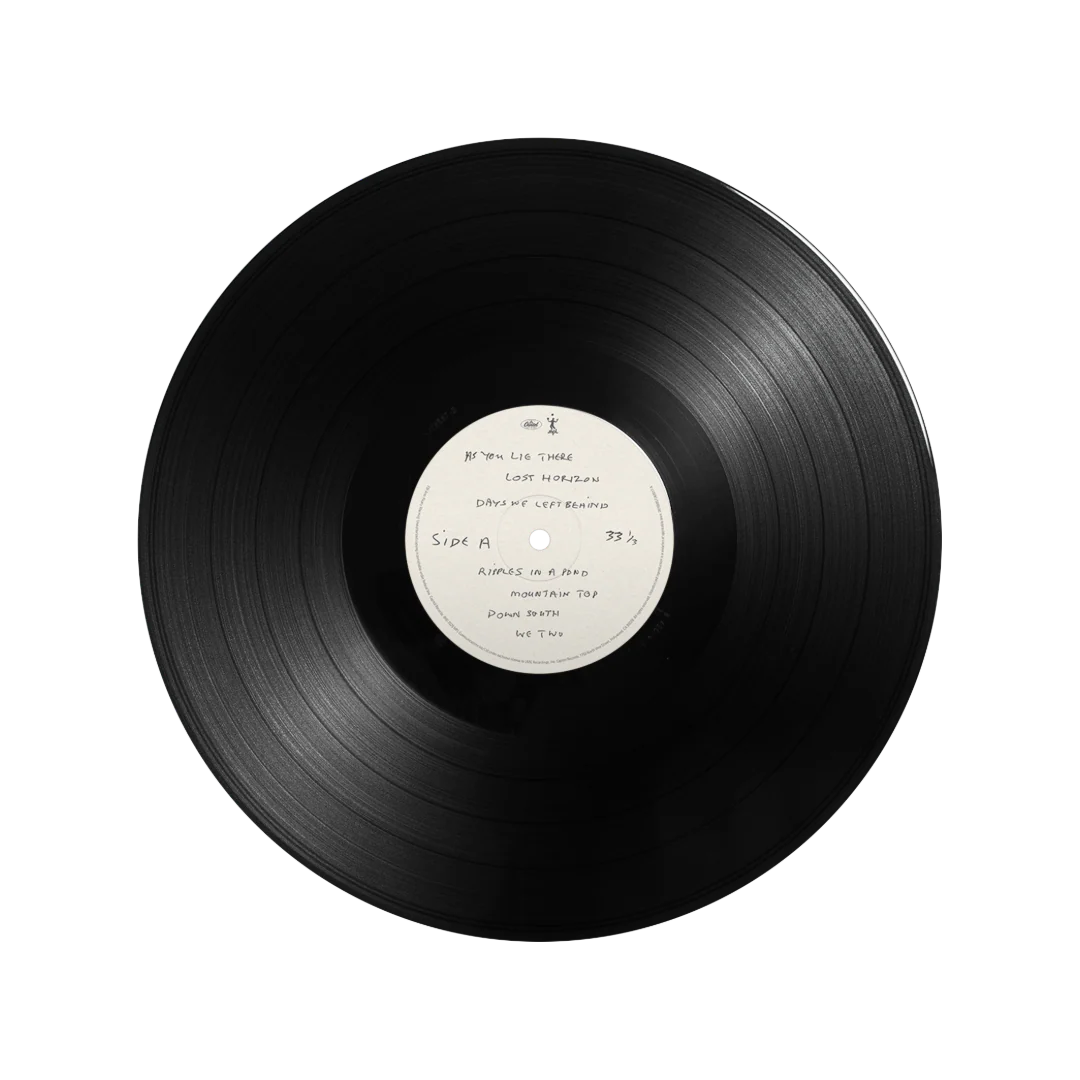 The Boys of Dungeon Lane - LP - Image 2